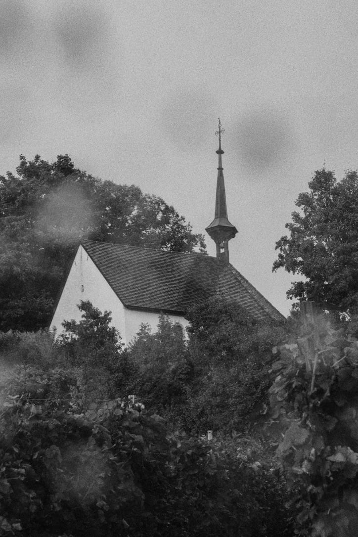 black and white photograph by mxlb, plate 12 — munzingen, germany