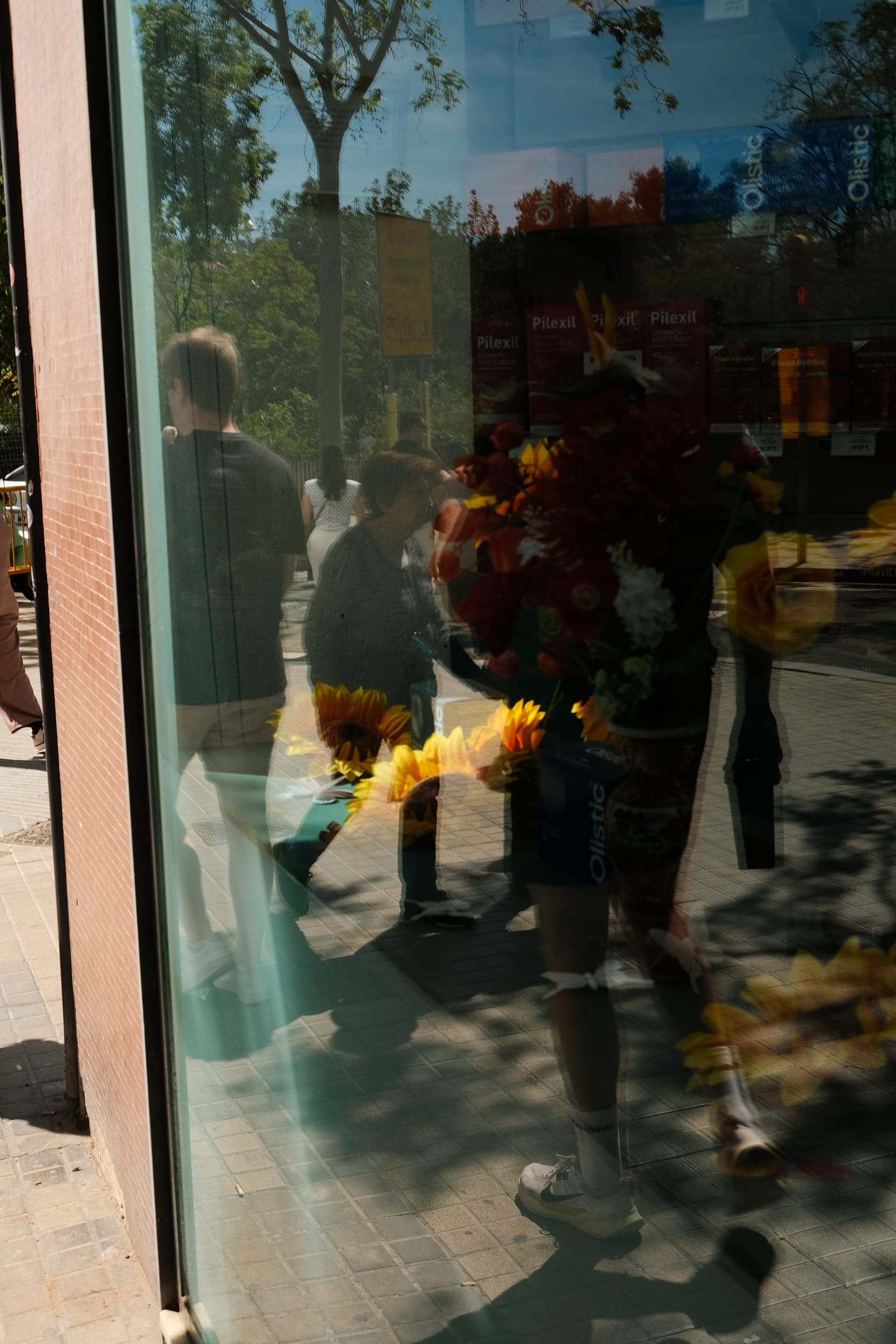 light — color photograph by mxlb, plate 10 — barcelona, spain