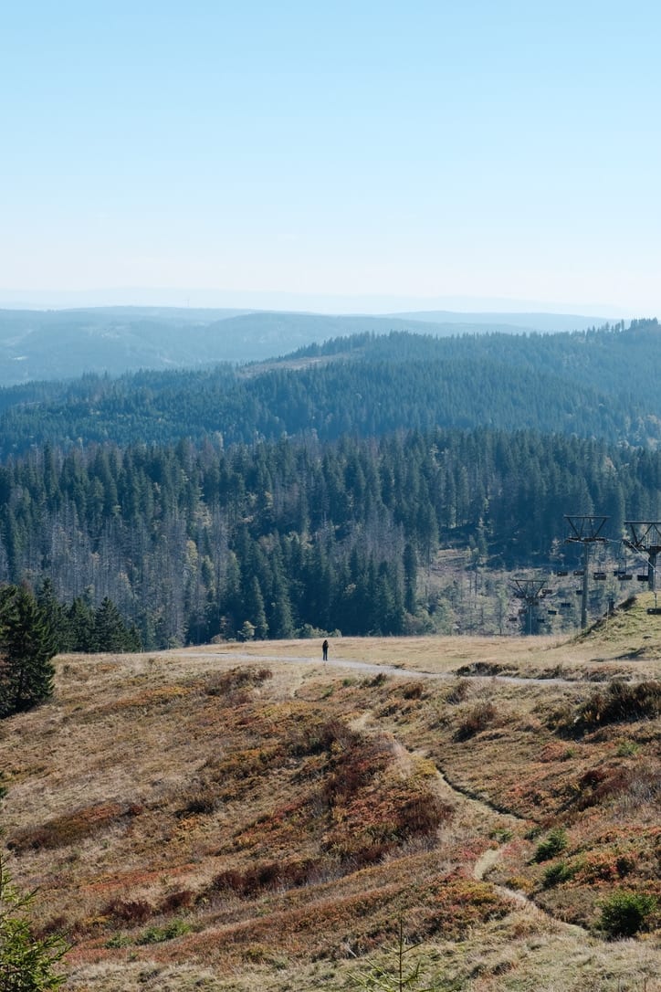 silence — color photograph by mxlb, plate 07 — feldberg, germany