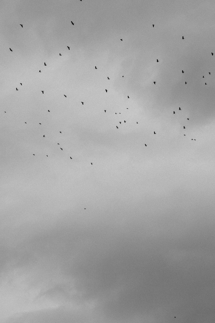 Black and white photography by mxlb