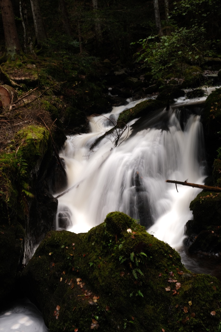 Nature photography by mxlb